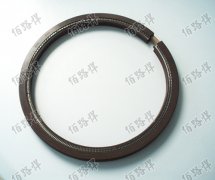 雙剖分式油封，開(kāi)口油”